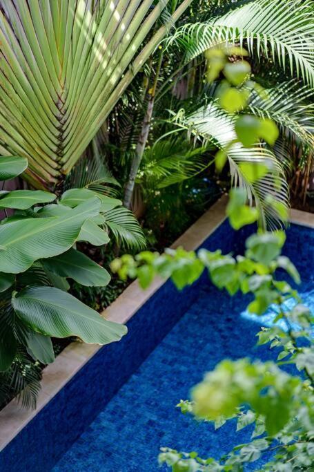 Cosy 1 Bd Pvt With Shared Kitchen And Pool Apartemen Seminyak (Bali)